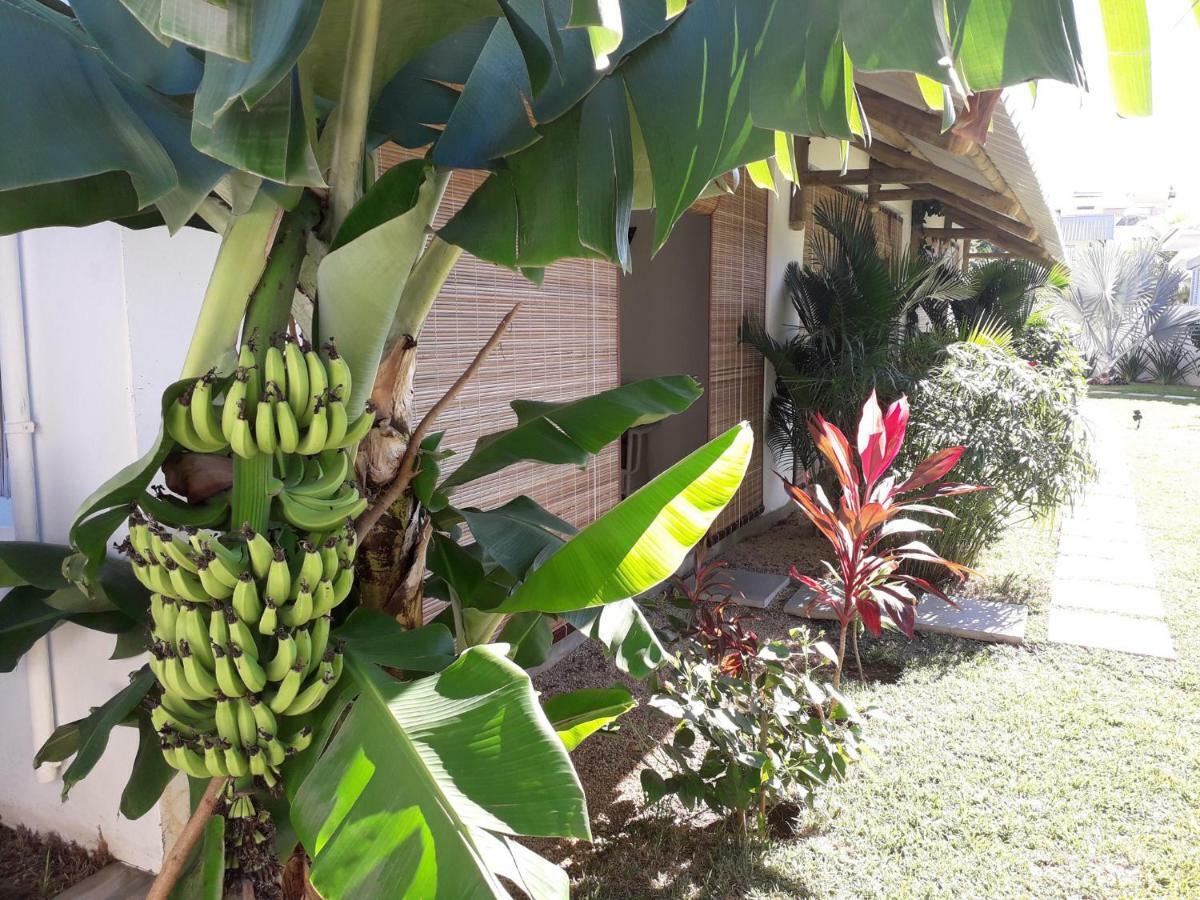 Le Mandala Moris Guesthouse Pointe Aux Canonniers Grand-Baie Exterior photo
